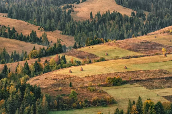 Красивый осенний пейзаж в горной деревне Украины — стоковое фото