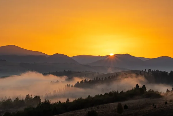 Hermoso paisaje de otoño al amanecer g en las montañas de los Cárpatos, Ucrania —  Fotos de Stock