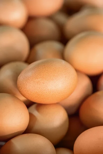Многие коричневые яйца закрываются. — стоковое фото