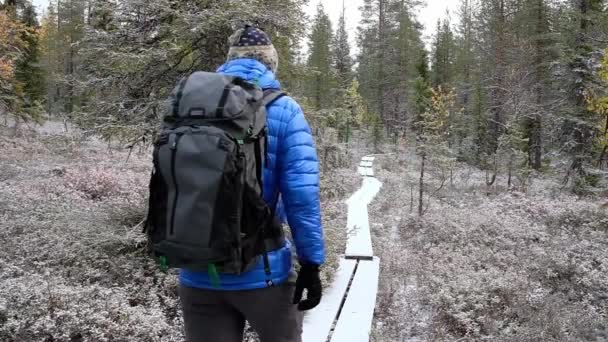 Turistpromenader på träbrädan passerar genom den finska Lappländska skogen — Stockvideo