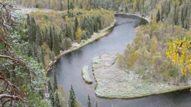 Finlandiya 'daki Oulanka Ulusal Parkı' nda sonbahar manzarası.