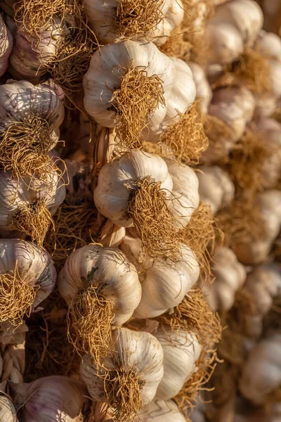 Alho seco pendurado no mercado de legumes agricultores stall close-up — Fotografia de Stock