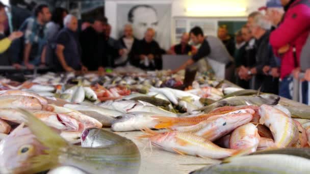 Különböző friss hal eladó a tenger gyümölcsei aukción Alacati városban, Törökországban. — Stock videók