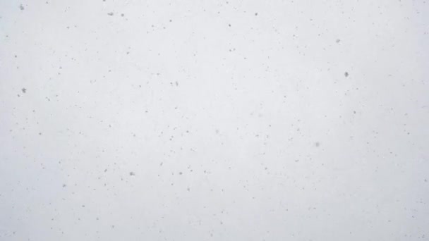 Nieve cayendo en cámara lenta — Vídeo de stock