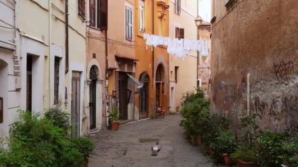 Уютная узкая улочка с сушилкой в районе Трастевере в Риме, Италия — стоковое видео