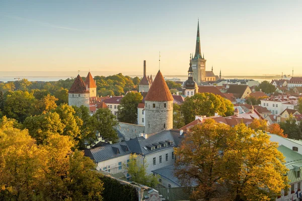 Pared de Tallin y vista superior de la iglesia de St. Olafs —  Fotos de Stock