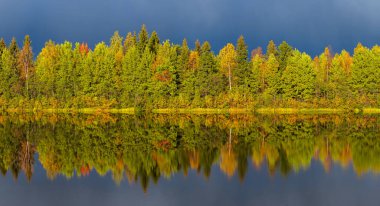 Sonbahar ormanı göl yansıması manzarası.