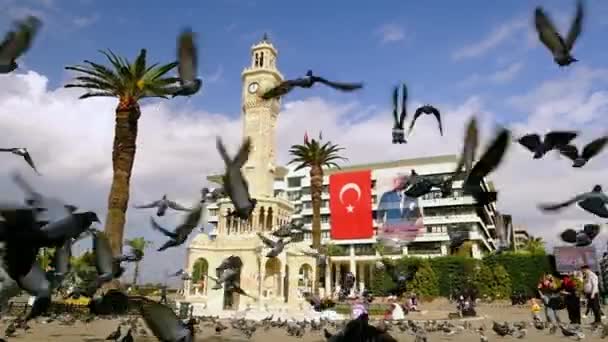 Taubenschwarm fliegt um den Uhrenturm von Izmir, Türkei — Stockvideo