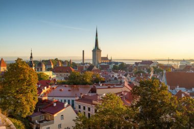 Tallinn şehir duvarı ve St. Olafs Kilisesi manzarası