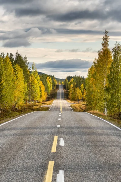 Highway i vacker höstskog på landsbygden Finland — Stockfoto