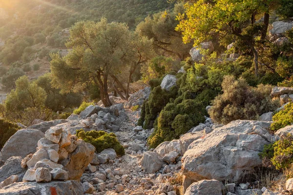 Walking the Lycian way hiking trail in Antalya region. — Stock Photo, Image