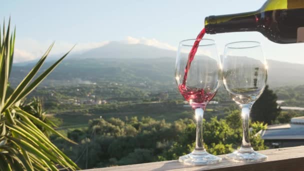 Versare il vino rosso da una bottiglia in due bicchieri sui vigneti della Sicilia — Video Stock