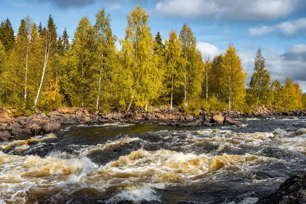 Beautiful autumn landscape with rapid water river and yellow leaves forest — Stock Photo, Image