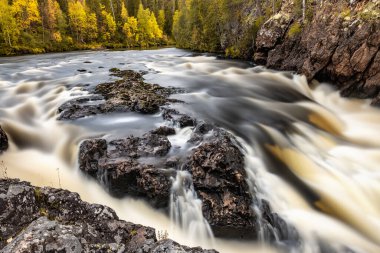 Sonbaharda Kiutakongas Rapids, Oulanka Ulusal Parkı, Kuusamo, Finlandiya.