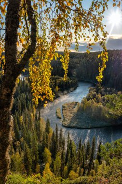 Oulanka Ulusal Parkı manzarasında sonbahar manzarası
