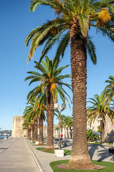 Hırvatistan 'ın eski Trogir kentinin güzel yaz manzarası