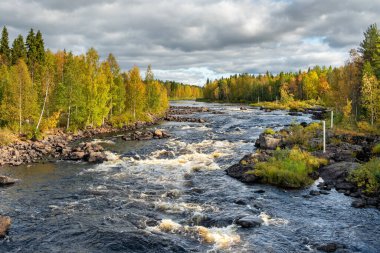 Güzel sonbahar manzarası. Hızlı su nehri ve sarı yapraklı orman.