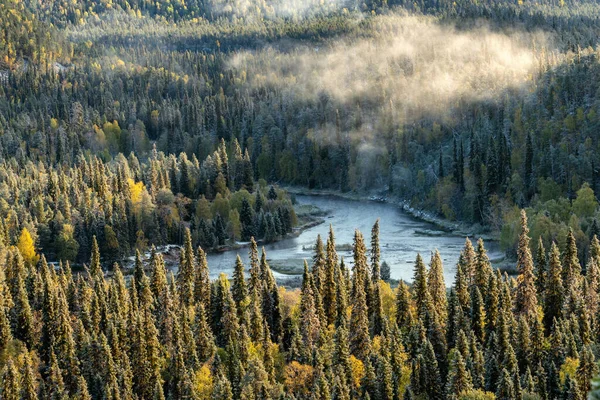 Krásná ranní krajina podzimního lesa — Stock fotografie