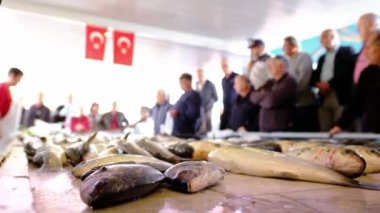 Alacati kasabası, Türkiye 'de deniz ürünleri açık artırmasında çeşitli taze balıklar satılıyor.
