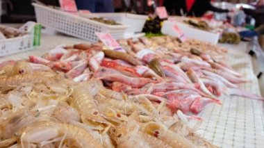 Ortygia Market, Syracuse, Sicilya 'da taze deniz ürünleri, kabuklu deniz ürünleri ve balıklar