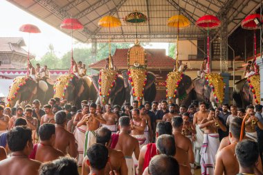 Siva Tapınağı, Ernakulam, Kerala, Hindistan 'daki tapınak festivalinde filler süslenmiş.