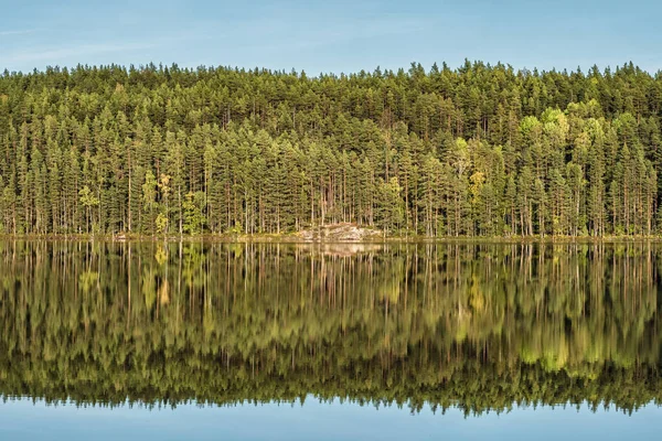 Sonbahar ormanı göl yansıması manzarası. — Stok fotoğraf