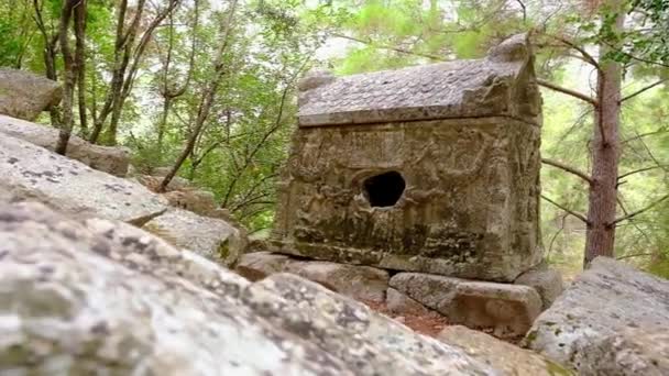 Túmulo de Lícia na antiga cidade de Olympos, Cirali, Turquia — Vídeo de Stock