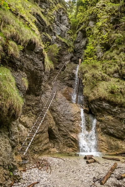Slovakya 'daki Slovak Paradise Ulusal Parkı. Sucha Bela Boğazı. Dar bir dağ kanyonunda dağ nehri olan yaya merdivenleri. Slovenya 'nın en iyi yürüyüşlerinden biri..
