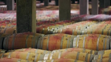 İspanya 'nın Rioja şaraphanelerinde kırmızı şarap bulunan meşe fıçılarıyla dolu büyük bir kiler. Şarap yapımı, kalite ve lezzet geliştirme için mükemmel koşullar altında ahşap fıçılarda yaşlanan şarabı içerir..