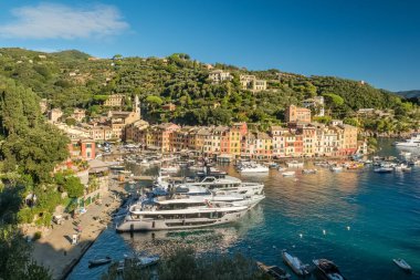 İtalya 'nın Liguria kentindeki Portofino tatil beldesi. Ligurian kıyıları boyunca tarihi renkli binalarla çevrili demirlemiş yelkenlileri ve lüks yatları olan büyüleyici bir liman..
