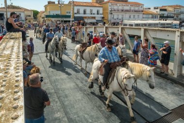 Le Grau-du-Roi, Fransa - 11 Eylül 2024: Course Camarguaise, Fransa 'nın güneyindeki Camargue bölgesinde düzenlenen geleneksel bir boğa güreşi etkinliği. At sırtındaki muhafızlar bir boğaya arenaya kadar eşlik etsin.