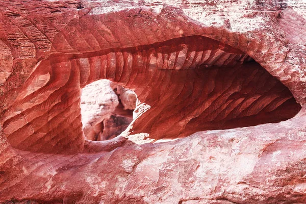 ヨルダンのペトラ岩に見られる骨格や胸に似たパターン ロイヤリティフリーのストック写真