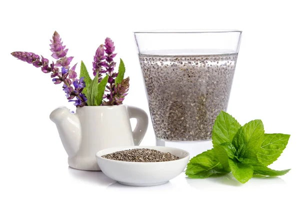 Water Chea Seeds Mint Leaves Salvia Flowers Isolated White — Stock Photo, Image