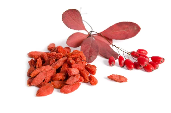 Branch Ripe Red Barberries Dried Goji Berries Isolated White Background — Stock Photo, Image