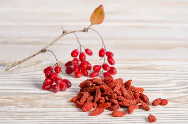 Branch of ripe red barberries and dried goji berries on wooden table