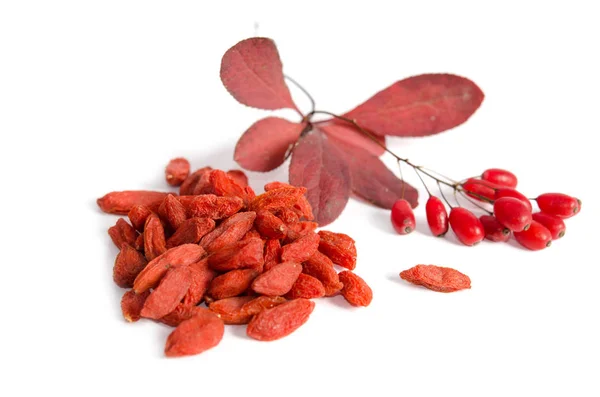 Branch of ripe red barberries and dried goji berries isolated on white background