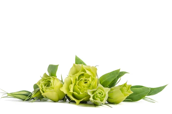 Kytice Zelených Růží Ležící Bílém Pozadí — Stock fotografie
