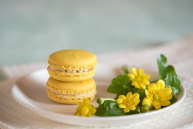 Mavi ahşap masa üzerinde güzel sarı çiçekli beyaz porselen tabakta macarons