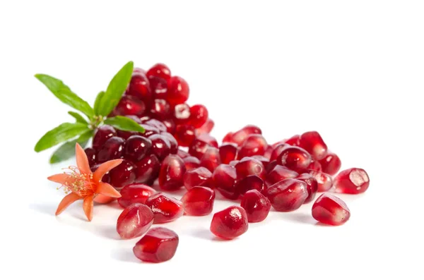 Delar Ett Granatäpple Granatäpple Frön Och Blad Blommor Isolerad Vit — Stockfoto