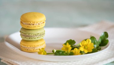 Mavi ahşap masa üzerinde güzel sarı çiçekli beyaz porselen tabakta macarons