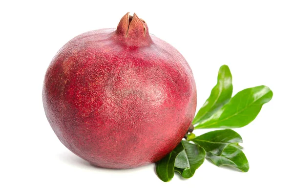 One Big Whole Pomegranate Leaves Isolated White Background — Stock Photo, Image