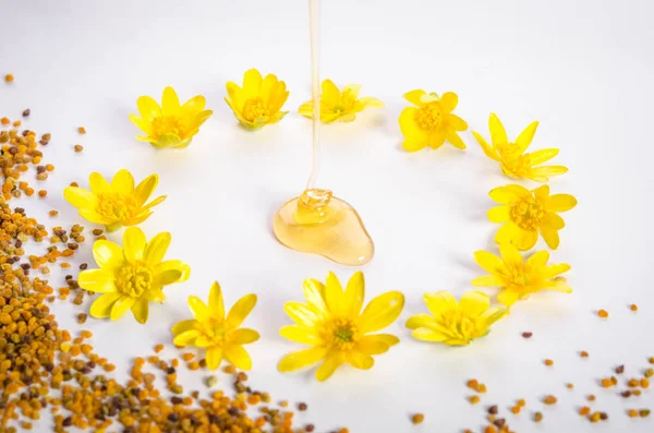 Pollen en gegoten honing met bloemen rond — Stockfoto