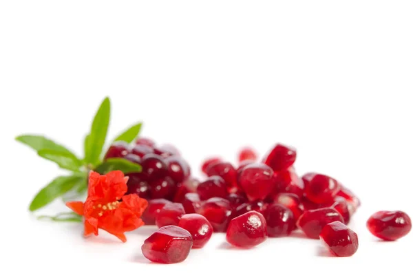 Parts of a pomegranate with pomegranate seeds and leaves, flower — Stock Photo, Image