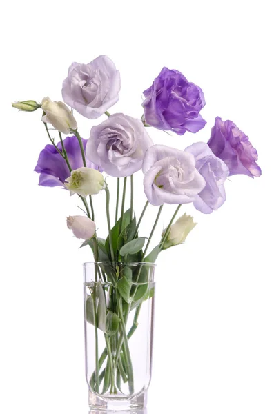 Mazzo di fiori di eustoma viola, bianco e viola in vaso di vetro — Foto Stock