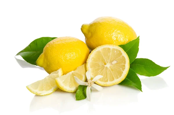Lemons tree flower and a lemons isolated on white background — Stock Photo, Image