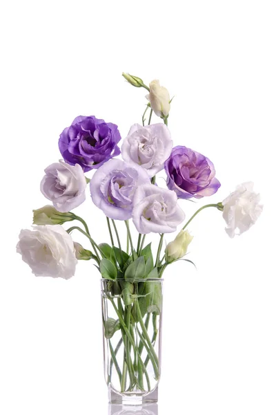 Cacho de flores de eustoma violeta, branca e violeta em vaso de vidro — Fotografia de Stock