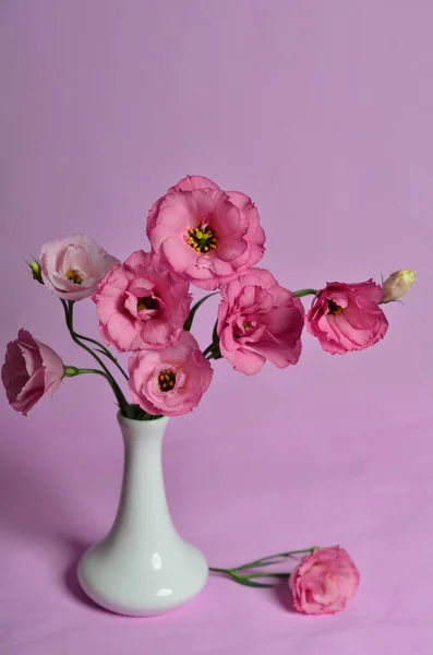 Bouquet Fiori Eustoma Rosa Vaso Ceramica Sfondo Rosa — Foto Stock