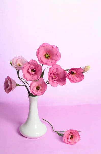 Ramo Flores Eustoma Rosa Jarrón Cerámica Sobre Fondo Rosa —  Fotos de Stock