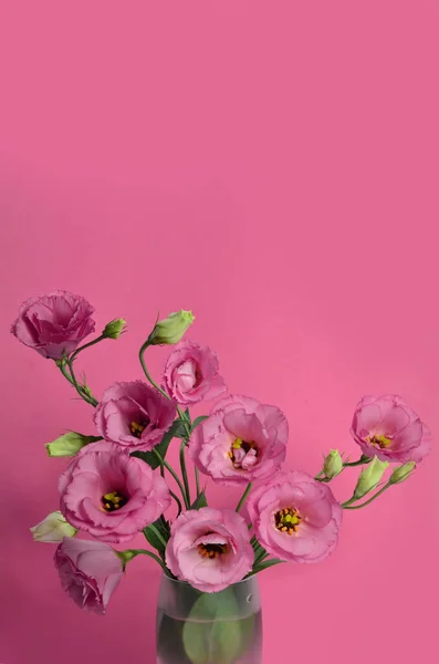 Delicato Bouquet Fiori Eustoma Rosa Vaso Vetro Uno Sfondo Rosa — Foto Stock