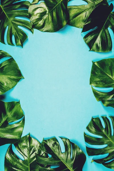 Tropische Blätter Monstera auf buntem Hintergrund — Stockfoto